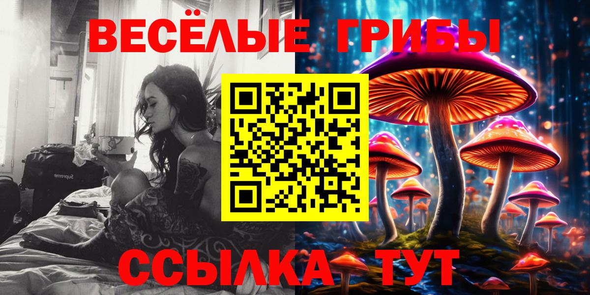 Галлюциногенные грибы Magic Shrooms Конаково