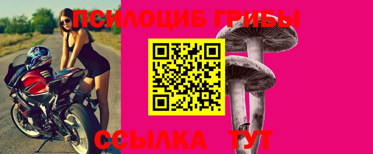 Псилоцибиновые грибы Magic Shrooms  Псилоцибиновые грибы MAGIC MUSHROOMS  Конаково  Вход с VPN 